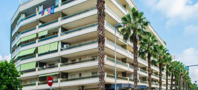 帕莱索尔花园酒店(Ona Jardines Paraisol)图片