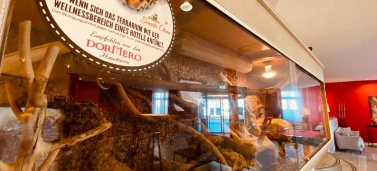 德雷斯顿市多梅罗酒店(Dormero Hotel Dresden City)图片