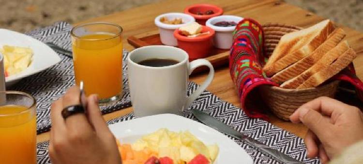 彼德拉阿瓜帕伦克酒店(Piedra de Agua Palenque)图片