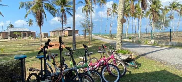 Sekepeng Penarek图片