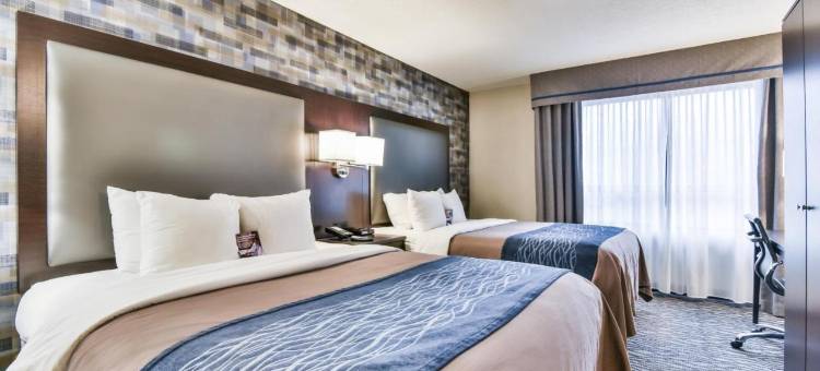 舒适酒店-蒙特娄机场(Comfort Inn Montreal Aeroport)图片