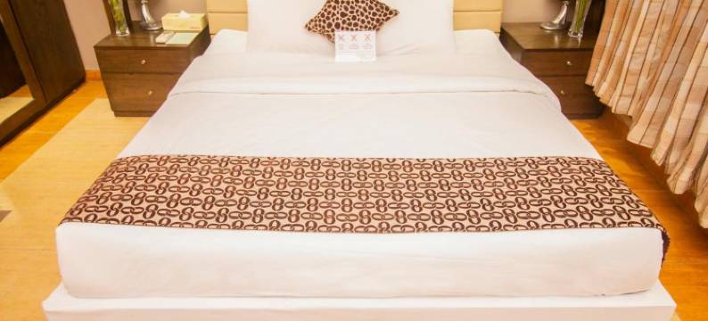 莱佛士服务公寓(Rafflesia Serviced Apartments)图片