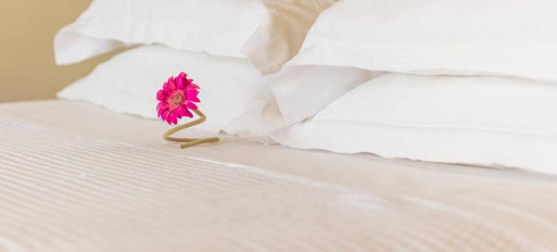 棕榈与温泉科孚别墅静居处(Palms and Spas Villas Retreat)图片