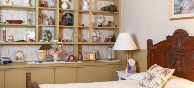 古之沃尔夫酒店(The Historic Wolf Hotel)图片