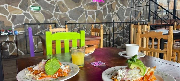 塞罗罗霍酒店和套房(Hotel & Suites Cerro Roj0)图片