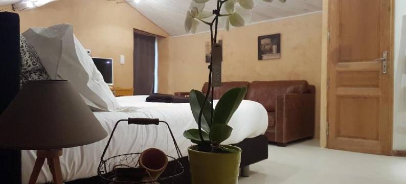 普伊特斯 47 号酒店(Le 47 - Rentals in South of France)图片