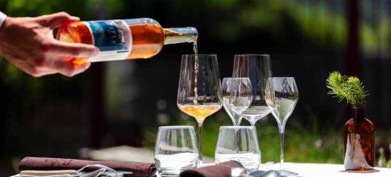 莱斯格利西尼斯酒店(Hotel Restaurant les Glycines)图片