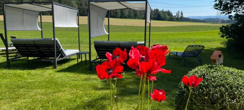 灵登霍夫兰登酒店(Landhotel Lindenhof)图片