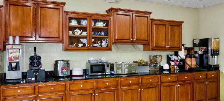 萨凡纳北I-95戴斯套房酒店(Days Inn & Suites by Wyndham Savannah North I-95)图片