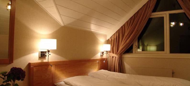 阿尔维酒店(Alver Hotel)图片