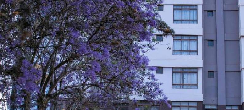 锡卡疯狂路克酒店(The Luke Hotel Cravers Thika)图片