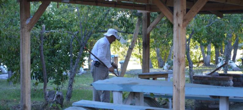 Coyunche Cabañas y Camping Laja & San Rosendo图片