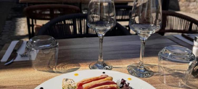 维斯拉纳斯青年旅舍(Auberge du Vieux Lanas Logis Hotel Restaurant)图片