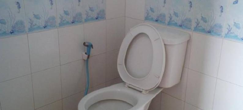 龙泰布乐园乔劳度假村(Lung Teeb Paradise Chao Lao Resort)图片