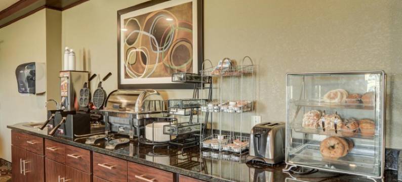 欧尔德鹅卵石套房酒店(Cobblestone Inn & Suites - ORD)图片