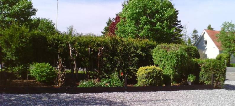 Svalegaarden Guesthouse图片