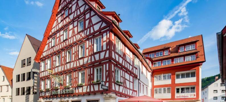 奥赫森餐厅旅馆(Hotel-Restaurant Ochsen)图片