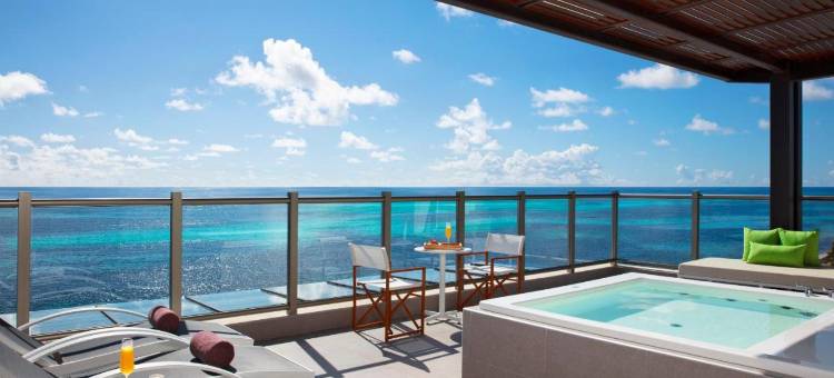 坎昆里维埃拉现在自然酒店(Dreams Natura Resort and Spa)图片