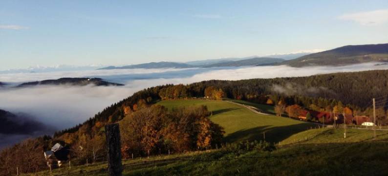 Forellenwirt Bacher图片