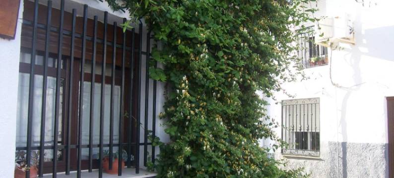 马克西祖母乡村旅馆(Casa Rural Abuela Maxi)图片