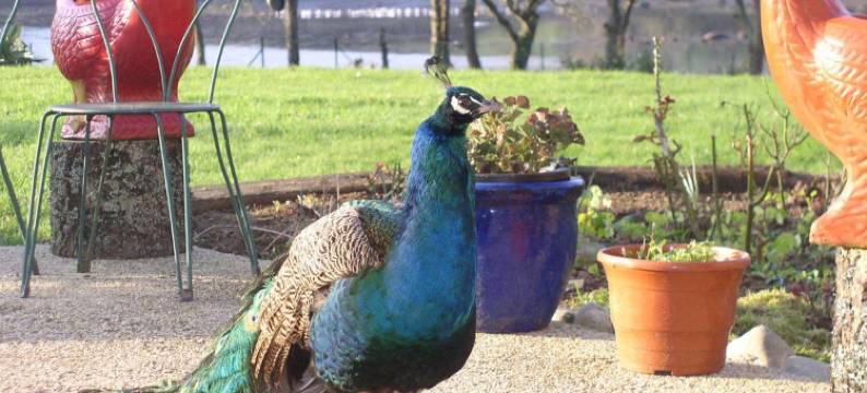 贝莱尔旅馆(Auberge de Bel Air)图片