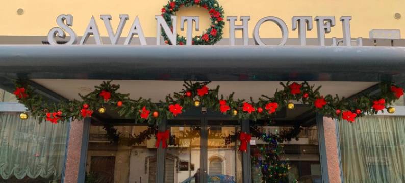 萨旺特酒店(Savant Hotel)图片