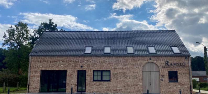 兰斯洛(Ramslo)图片