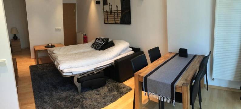 卡兹雷克雅未克中央奢华公寓酒店(Caze Reykjavik Central Luxury Apartments)图片