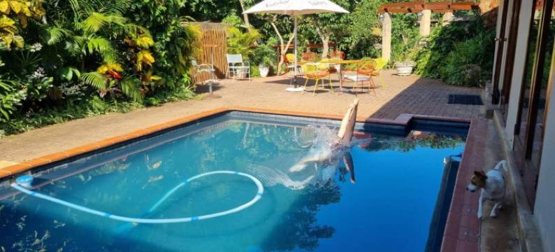 蜜森小屋旅馆(Honeywood Forest Lodge)图片