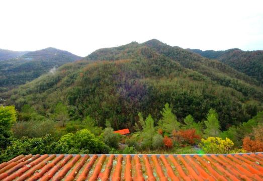La Favorita Apricale B&B & Ristorante Hotel Overview