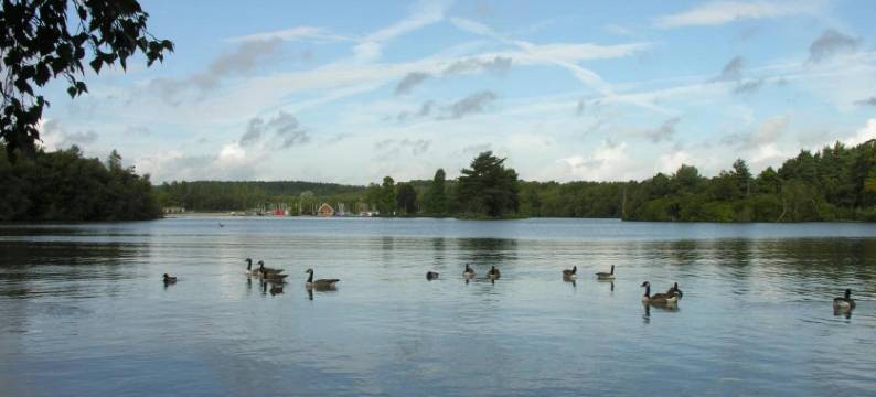 阿巴克丝家庭旅馆(Abacus Bed and Breakfast, Blackwater, Hampshire)图片
