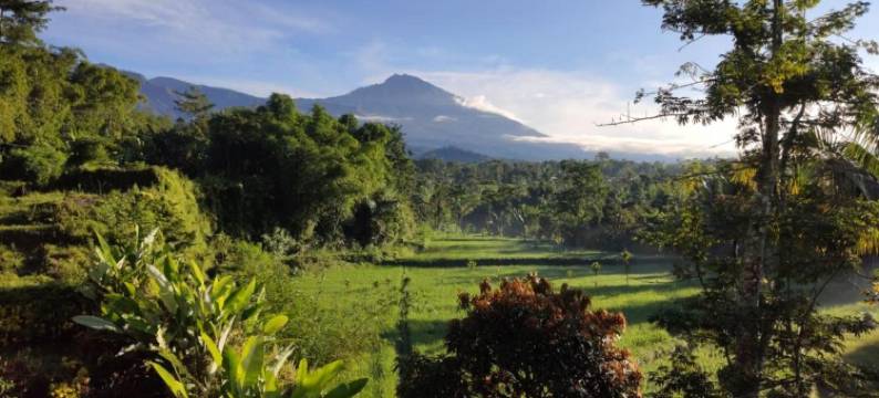 阿瑞亚苏塔简易别墅(Aryasuta Bungalow)图片