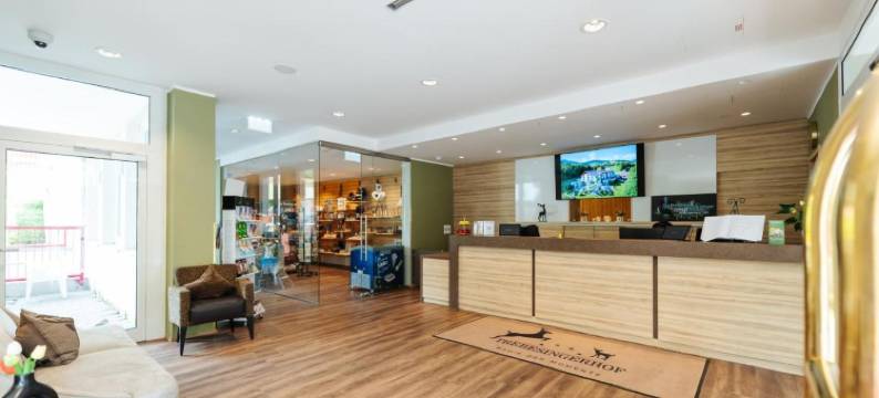 特雷贝辛格霍夫家庭酒店(Familienhotel Trebesingerhof)图片