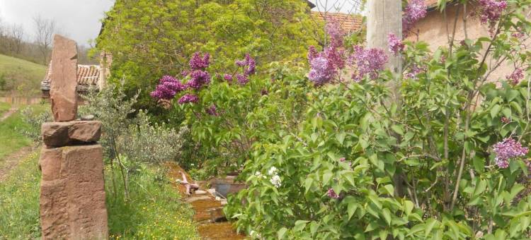 小山酒店(Gîte des Monts)图片