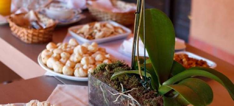 大坎普诺富特酒店(Novotel Campo Grande)图片