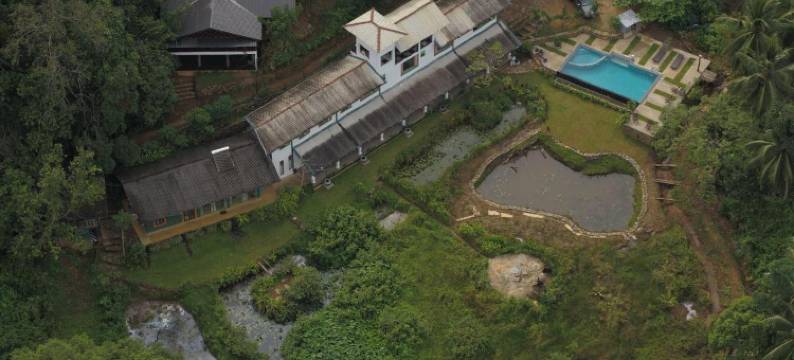 辛哈拉加森林边缘旅馆(Sinharaja Forest Edge)图片