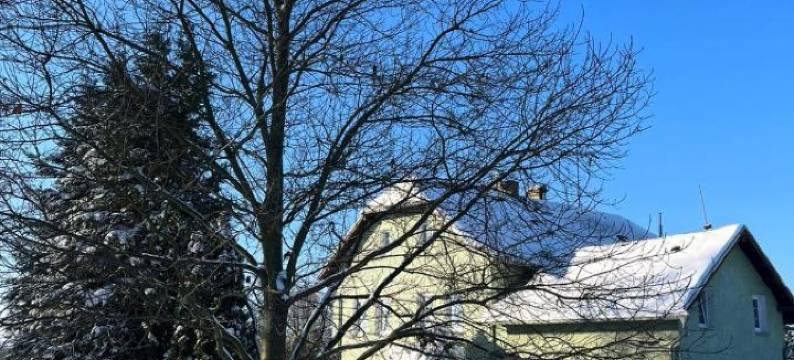 乌瓦克拉瓦旅馆(Pension U Václava)图片