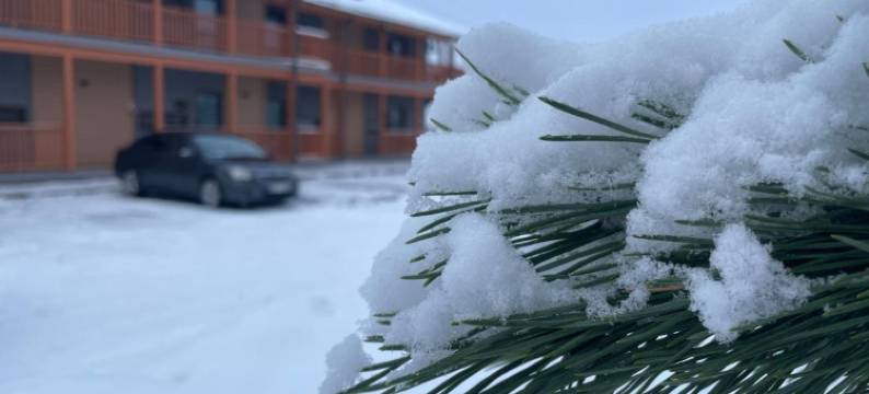 Bestes Apartamenti图片