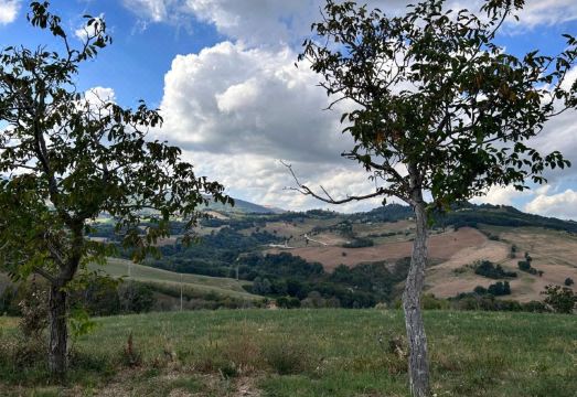 Agriturismo Collamato Hotel Overview