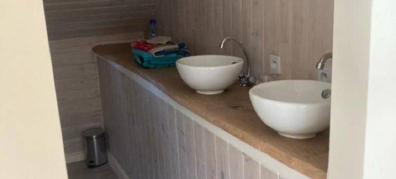 小比利时人(Le Petit Belge)图片