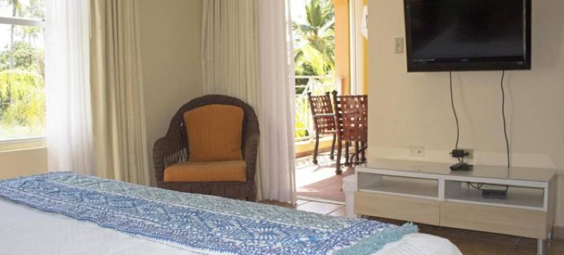 棕榈景观(Palm View)图片