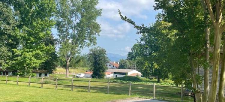 门迪酒店(Hotel Mendy)图片