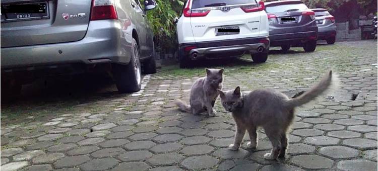 Cideres Holiday Home图片