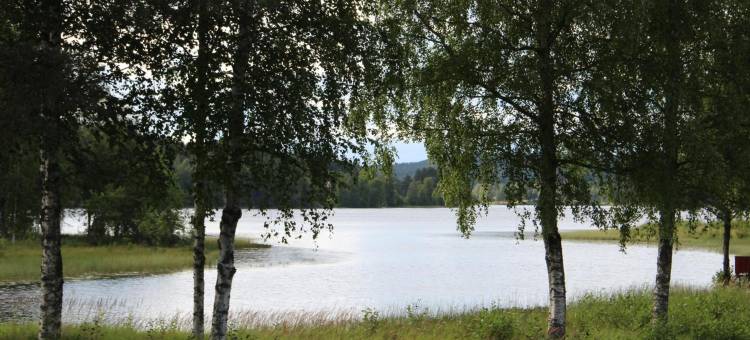 Lövås Gård Koppera图片