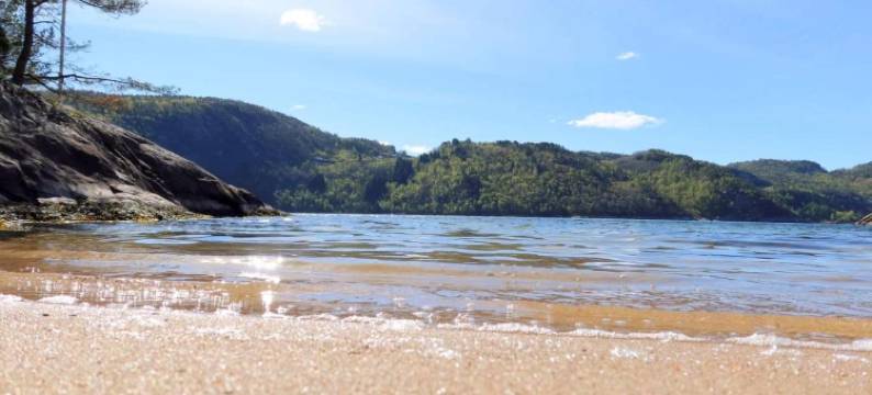 Fosseland Gjestegård图片