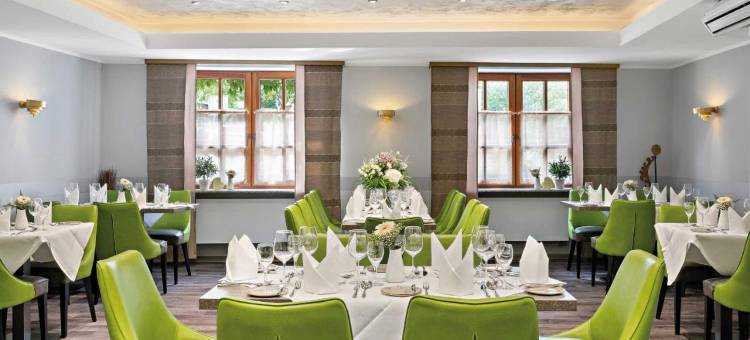 阿塞汉姆普法索酒店(Pfalzhotel Asselheim)图片