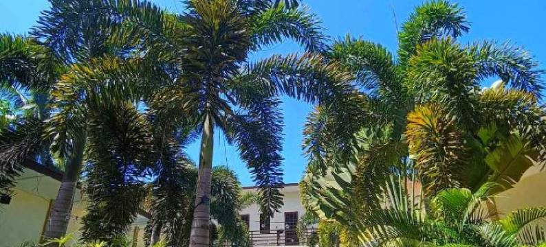 软石度假村(Softstone Resort)图片