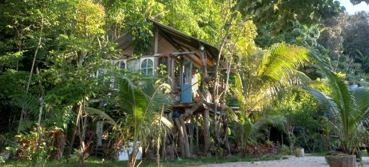 苏门答腊生态小屋(Sumatra Ecolodge)图片