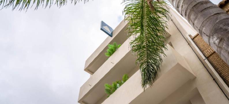 泰德青年旅馆(Teide Rooms)图片