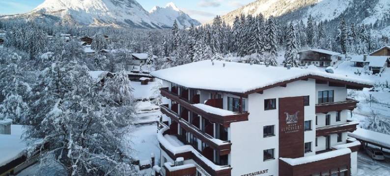 高山巢穴酒店(Hotel Alpennest)图片